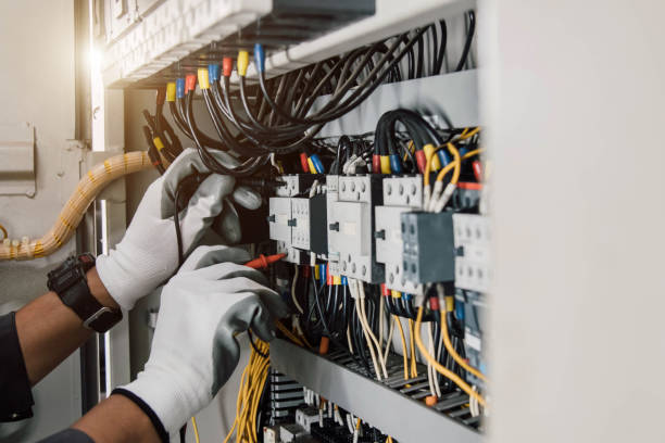 Best Ceiling Fan Installation Electrician  in Chisholm, MN