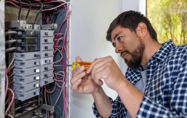 Best Local Electrician Companies  in Chisholm, MN